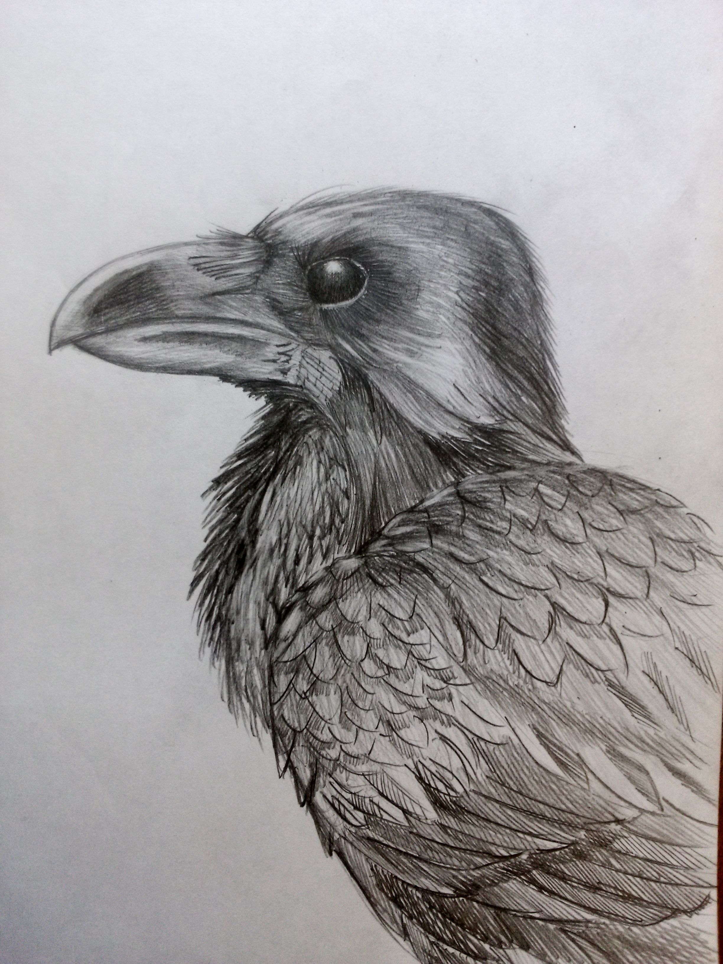 2448x3264 (Raven)