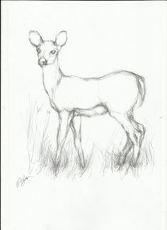 236x324 Landscape Drawings In Pencil Pencil Landscapes Art Sketches