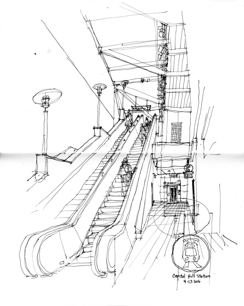 800x1005 Seeing.thinking.drawing Drawing Thoughts And Observations
