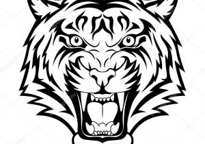 300x210 How To Draw A Tiger Head Easy 3. How To Draw A Roaring Tiger
