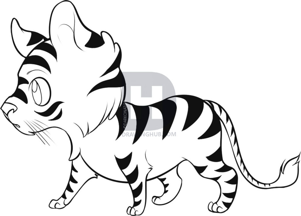 1001x720 How To Draw An Easy Tiger, Step By Step, Drawing Guide, By