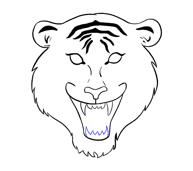 678x600 How To Draw A Tiger Face In A Few Easy Steps Easy Drawing Guides