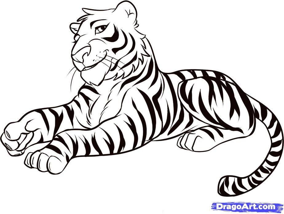 924x697 Drawing How To Draw Cartoon Animals Tiger In Conjunction