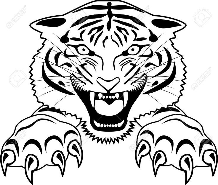 736x627 Drawings Drawing Ideas Tiger Drawing Easy Lovely Drawing An Easy