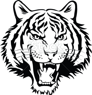 371x380 White Tiger Clipart Pencil Drawing
