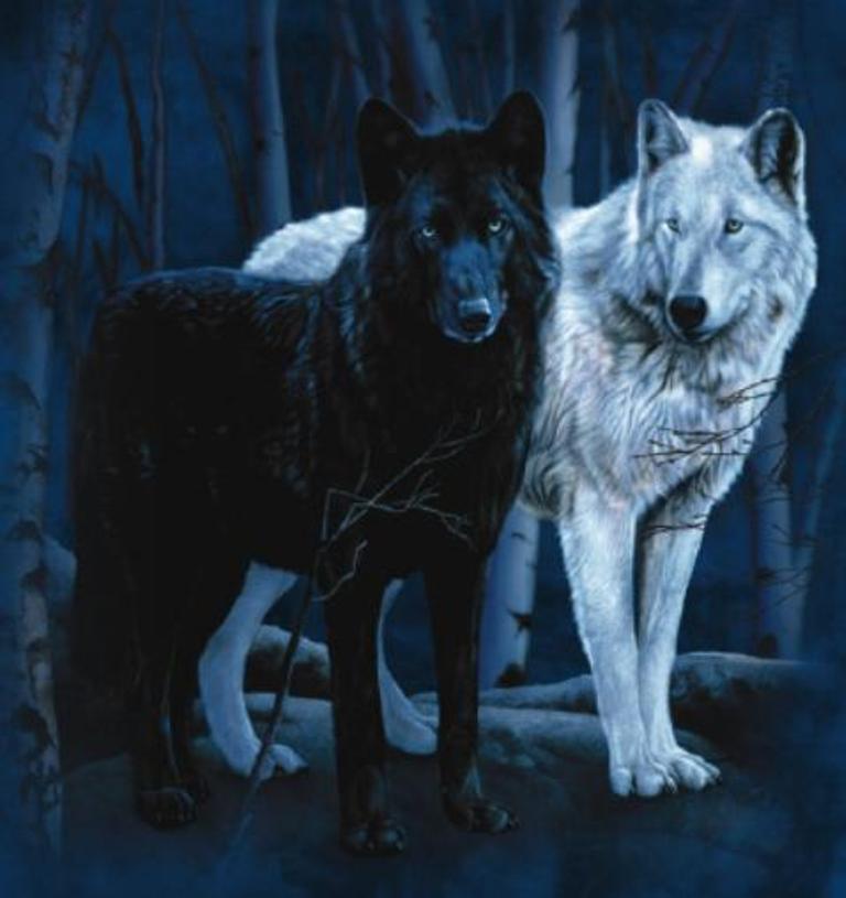 768x815 Black And White Timber Wolf By Fallenangelrose