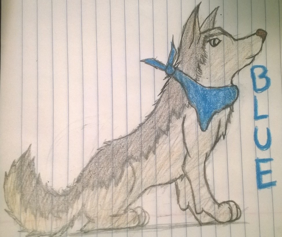 975x820 Blue My Webkinz Signature Timber Wolf By Snowy816