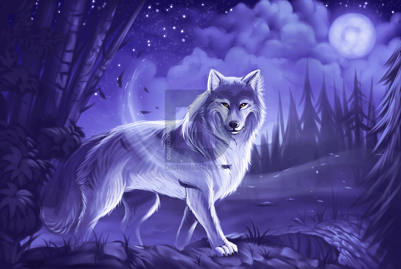 1542x1037 How To Draw A Gray Wolf, Timber Wolf, Step By Step, Drawing Guide