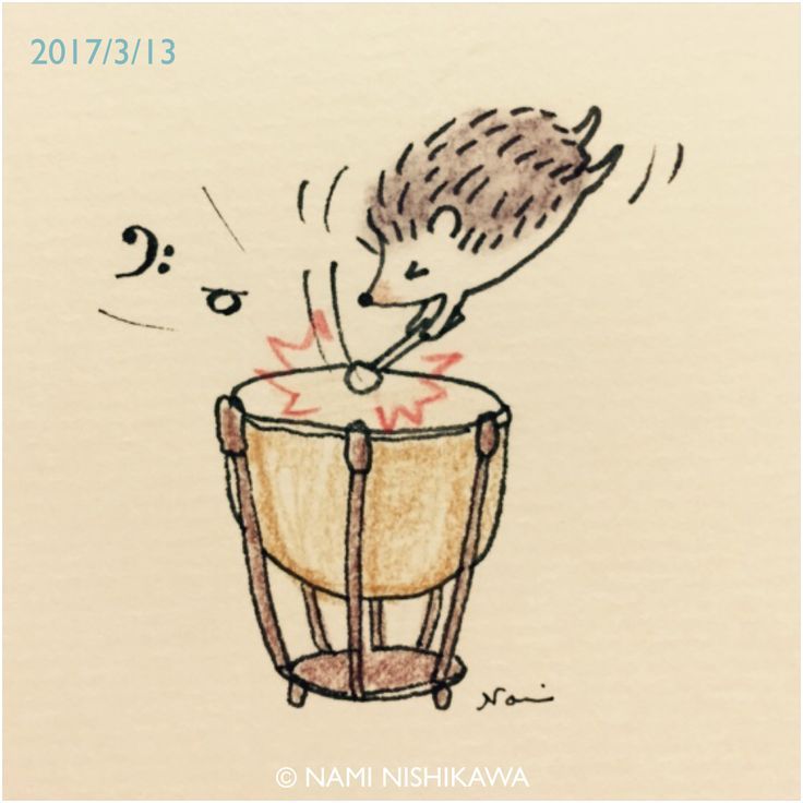 736x736 Timpani! Art Hedgehogs, Draw And Illustrators