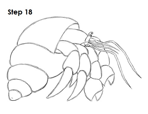 500x386 Crab Claw Template How To Draw A Hermit Crab Punch Tin