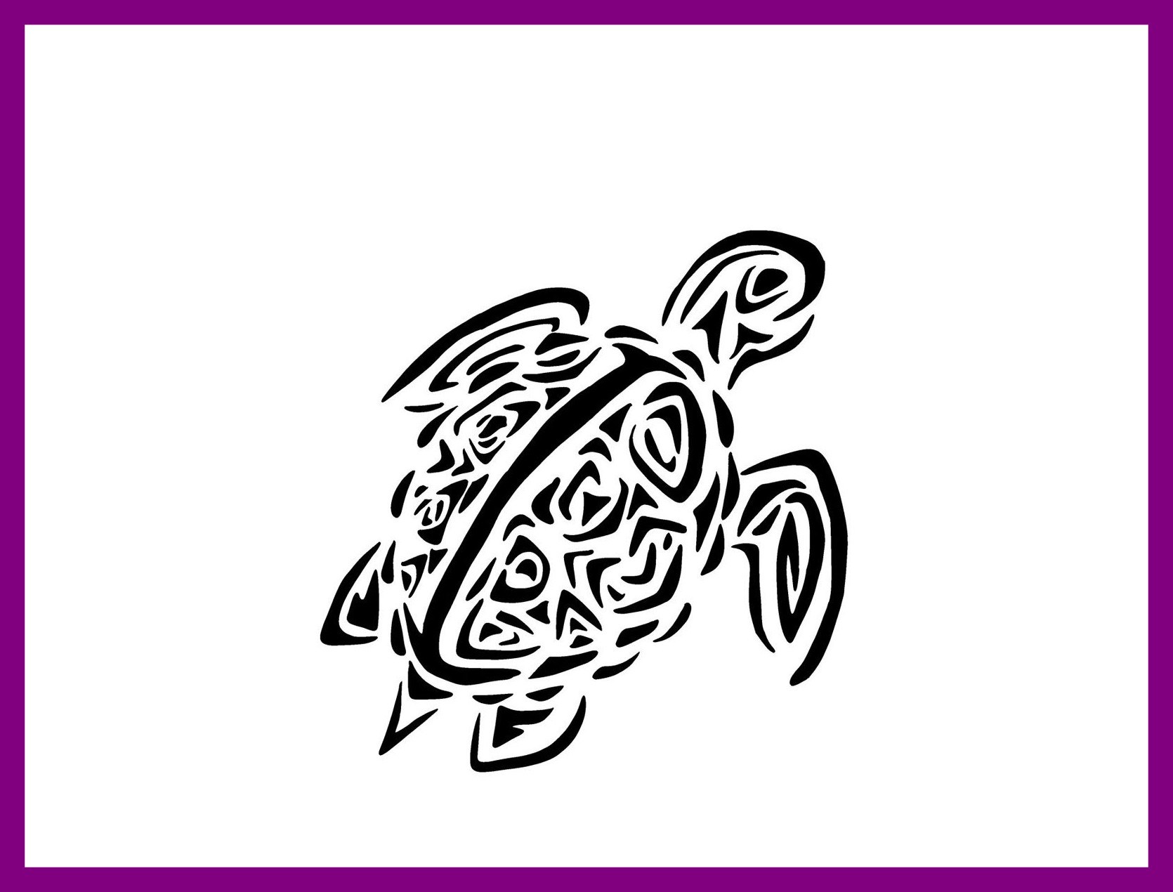 1670x1270 Incredible Sea Turtle Drawing Tumblr At Getdrawings For Personal