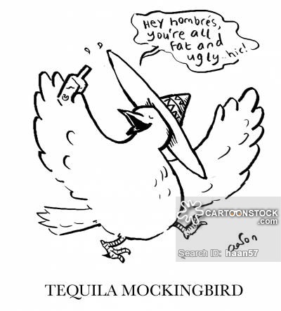 400x443 To Kill A Mockingbird Cartoons And Comics