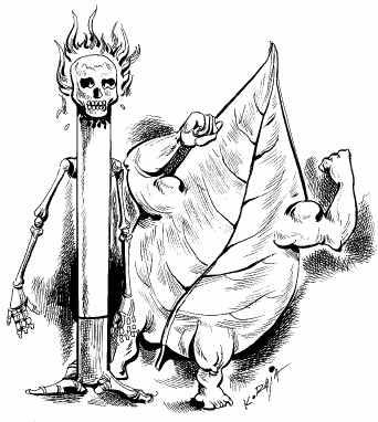 342x382 The Hindu Business Line Tobacco It Can Turn A New Leaf