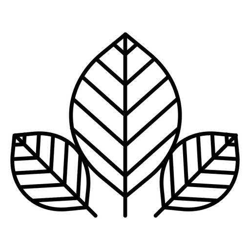 512x512 Leaves Illustration Drawing