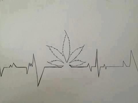 480x360 Drawn Weed Tobacco Leaf