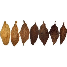 270x270 Tobacco Leaf
