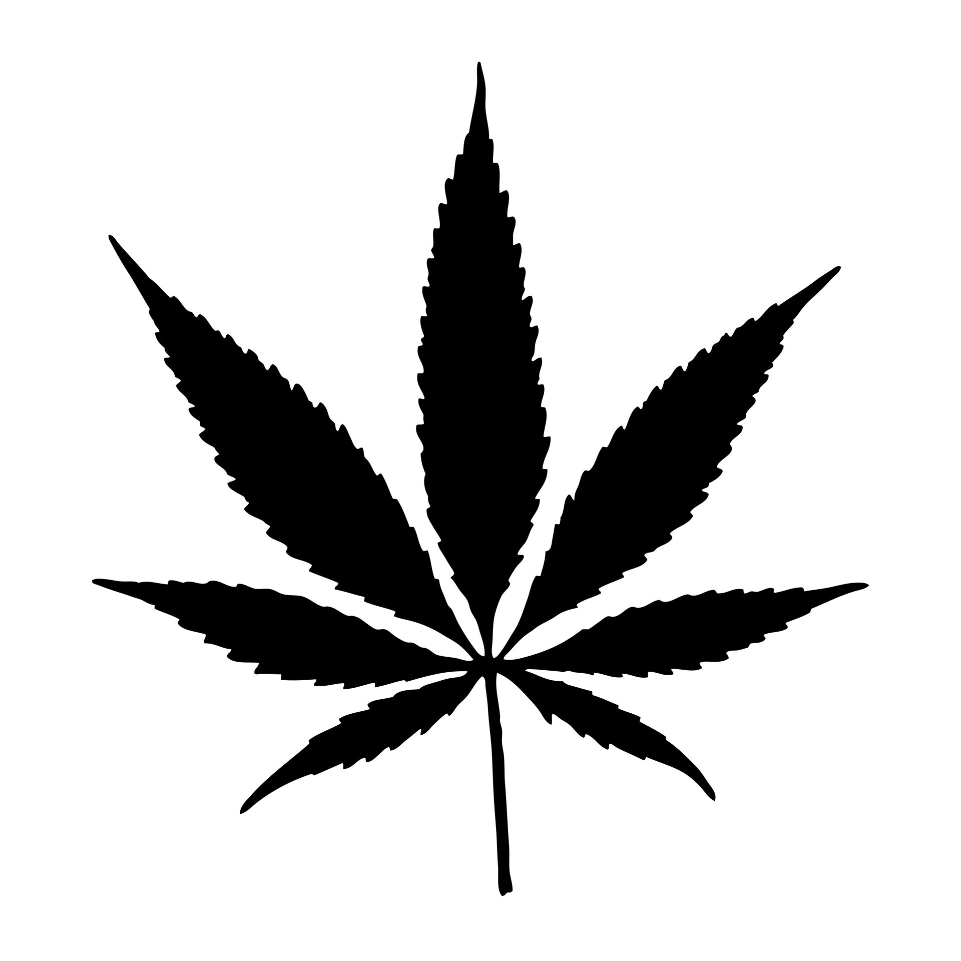 1920x1920 Drawn Weed Tobacco Leaf