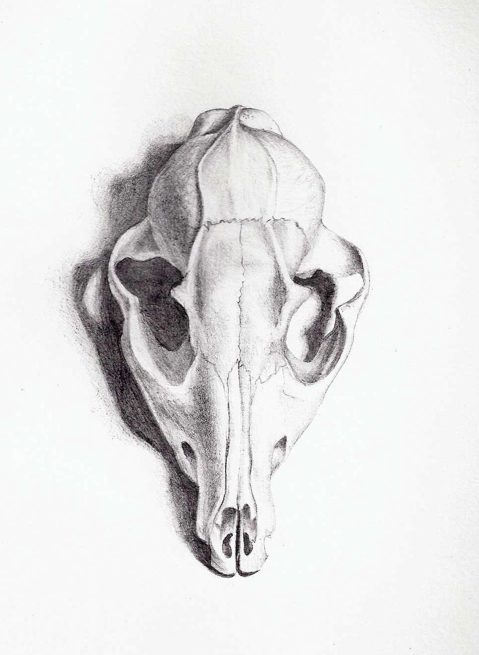 968x1324 Holly's Daily Draw Today Is My Birthday!!