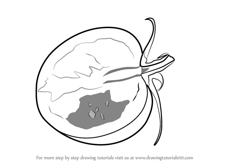 800x567 Learn How To Draw A Sliced Tomato (Vegetables) Step By Step