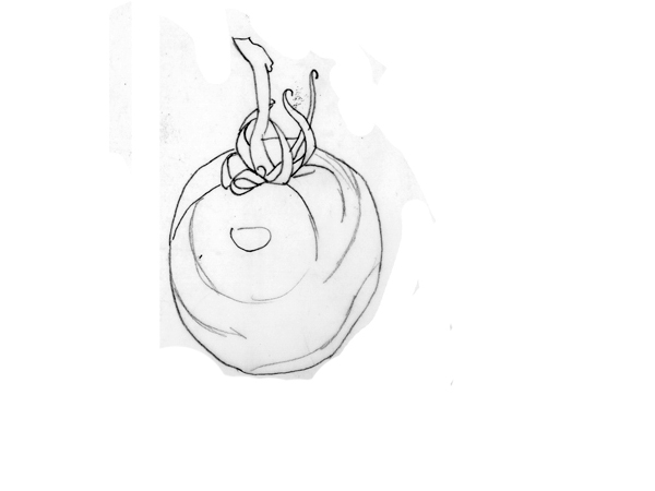 600x450 Learning To Draw Jill Berry Design