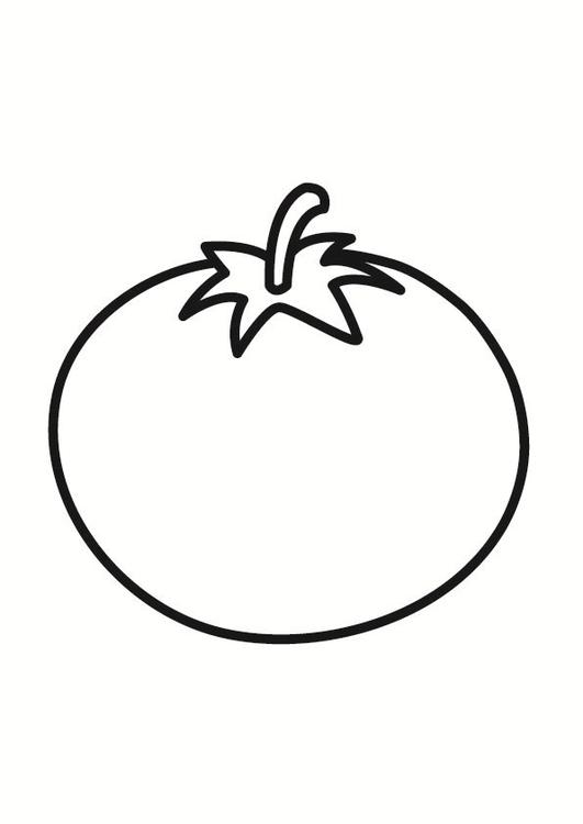 531x750 Coloring Page Tomato