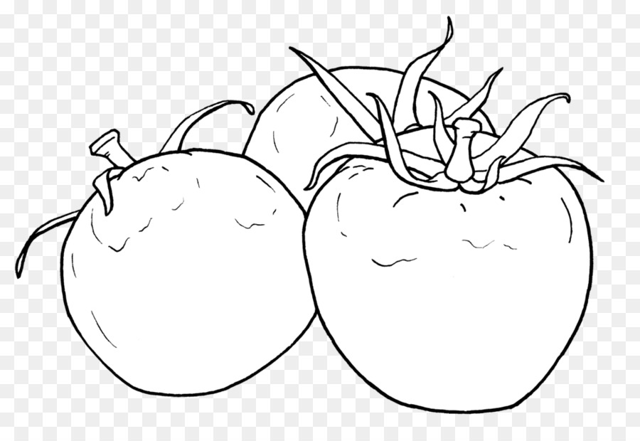 900x620 Drawing Heirloom Tomato Line Art Vegetable Clip Art
