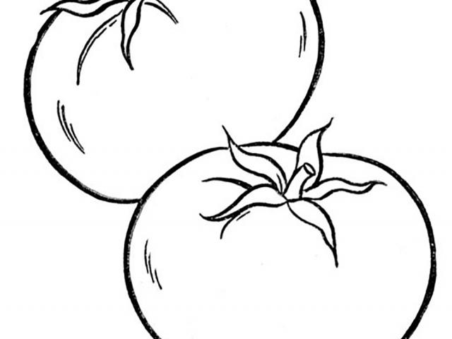 640x480 Drawn Tomato Icon