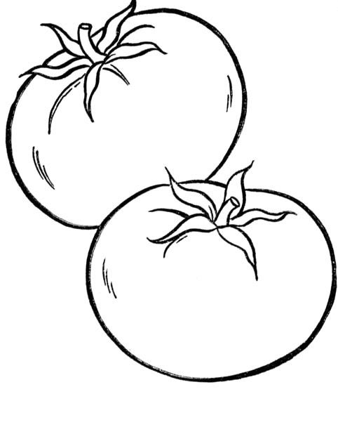 482x608 Healthy Tomato Vegetables Coloring For Kids Coloring Page