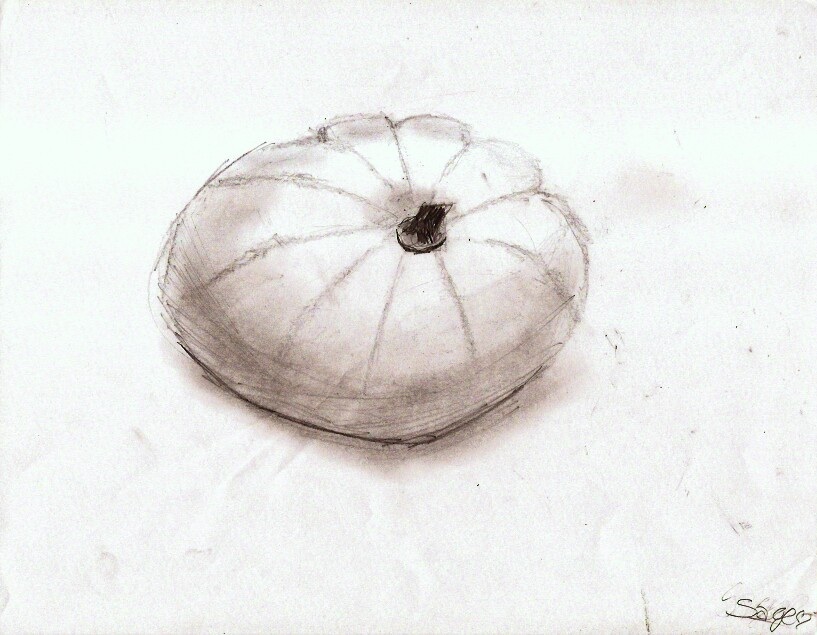 817x635 Slv Sketchers Weeks 7 10 Form, Contours, Tonal Values, Positive