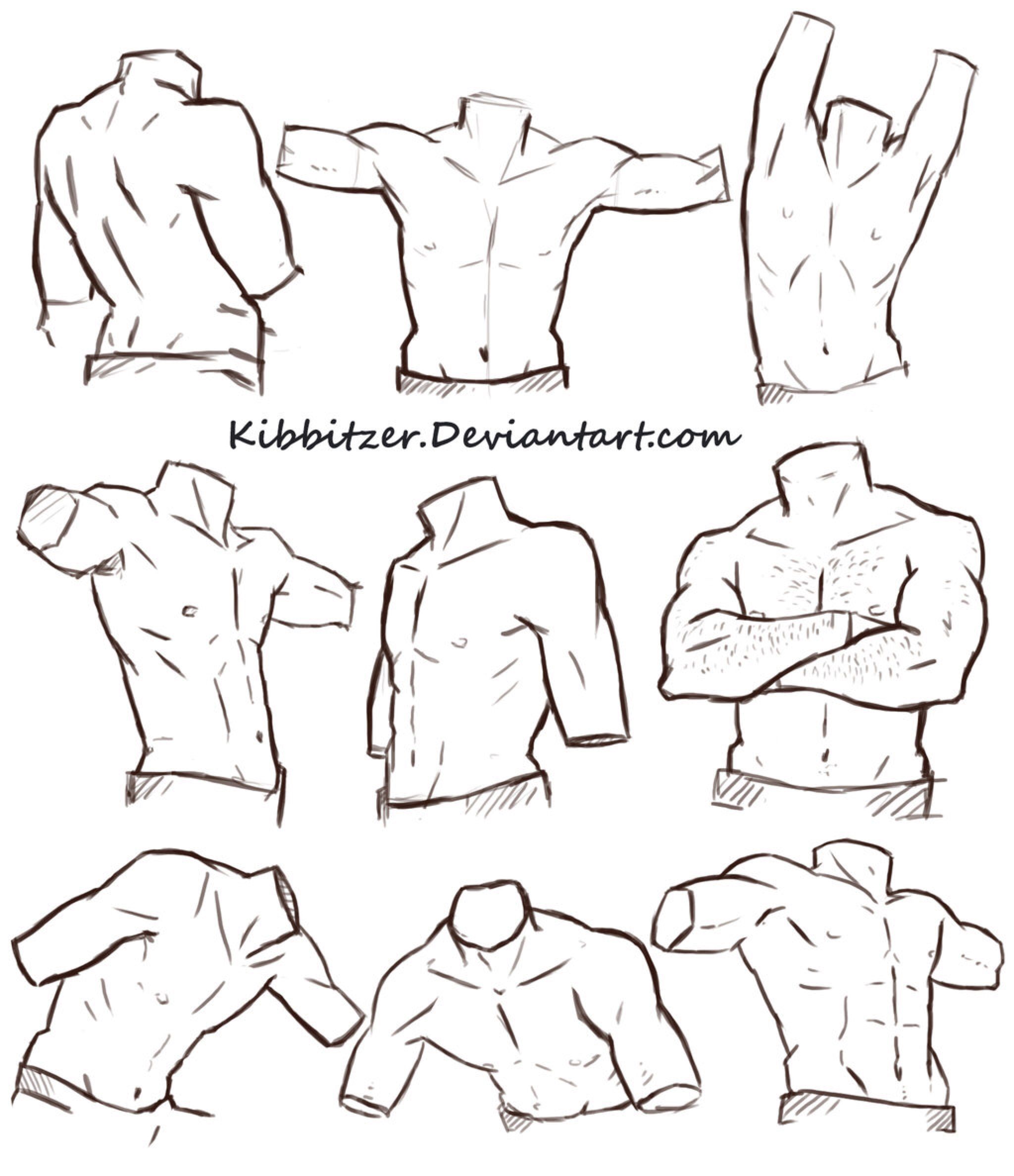 2048x2376 Male Torso Reference Sheet By Kibbitzer On @ Drawing