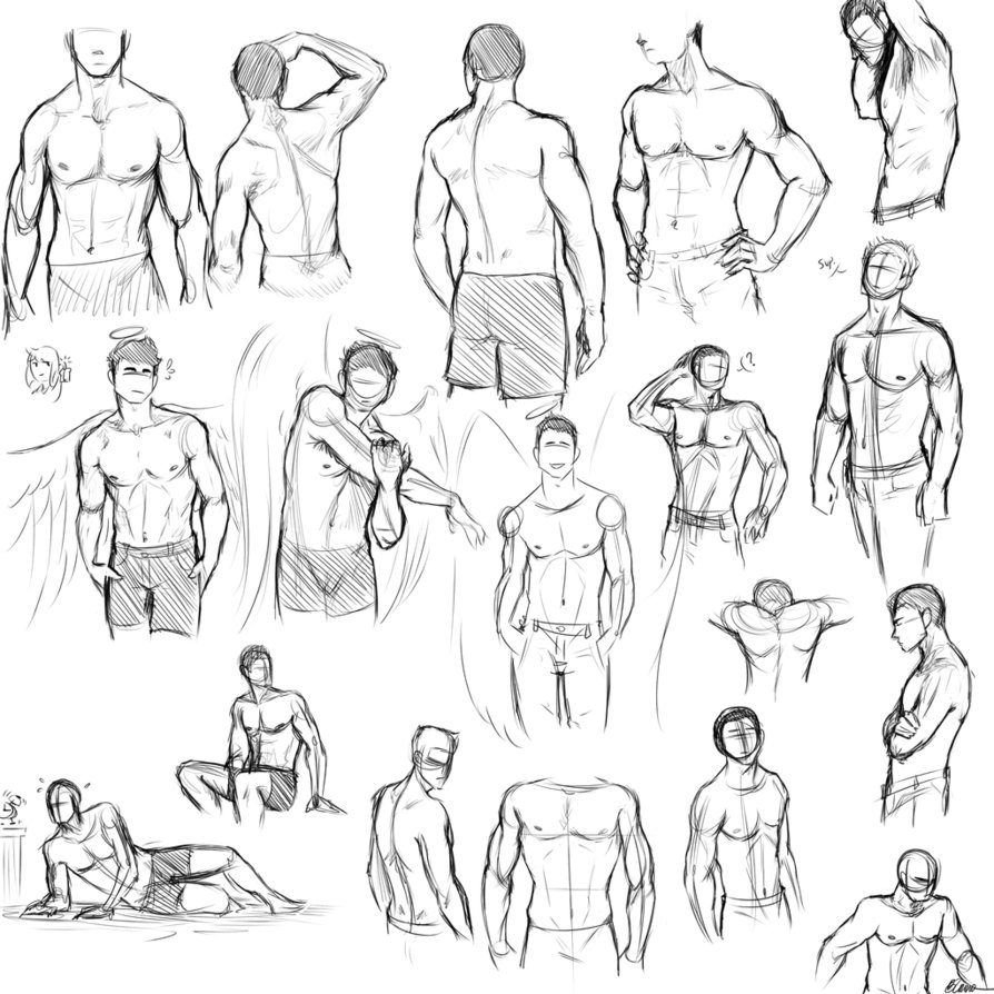 894x894 Anatomy Studies Male Torso By Rainsong777
