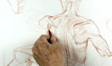 222x131 Drawing The Figure The Torso New Masters Academy