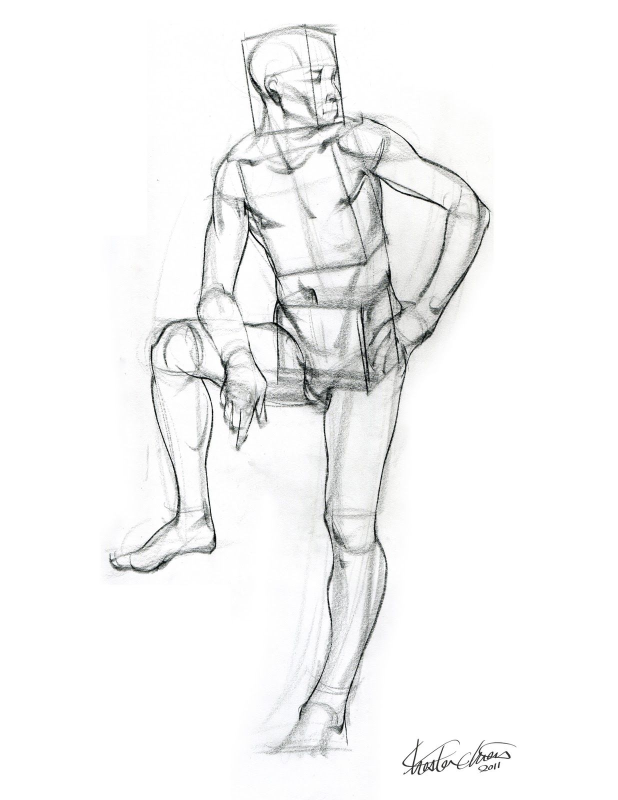 1236x1600 Chester Chien Form Study Drawing Boxes Of Torso Character