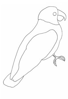 236x340 How To Draw A Parrot