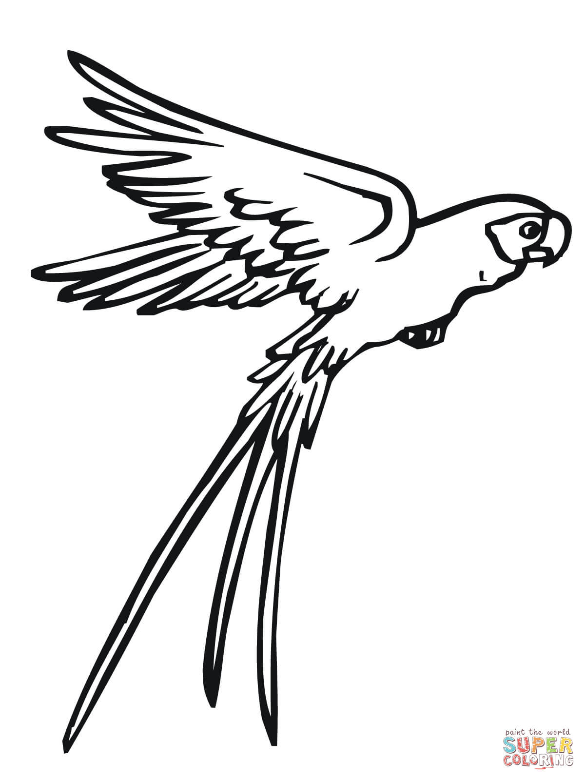 1200x1600 Drawn Parrot In Flight