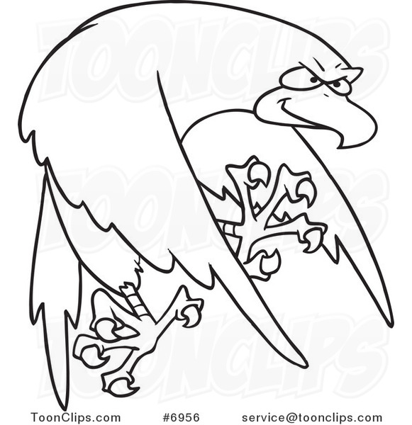 581x600 Cartoon Black And White Line Drawing Of A Tough Falcon