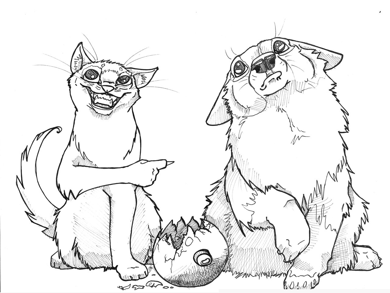 1280x962 Cat Drawings