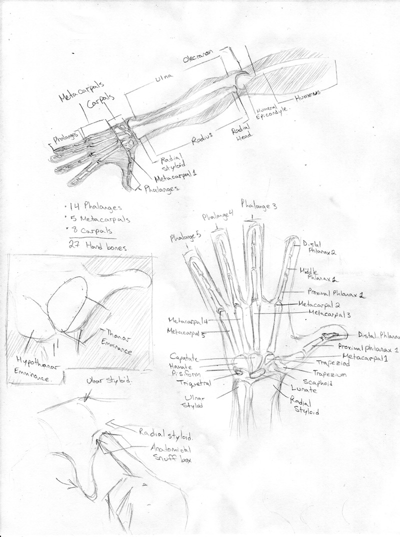 Trapezium Drawing At Getdrawings 