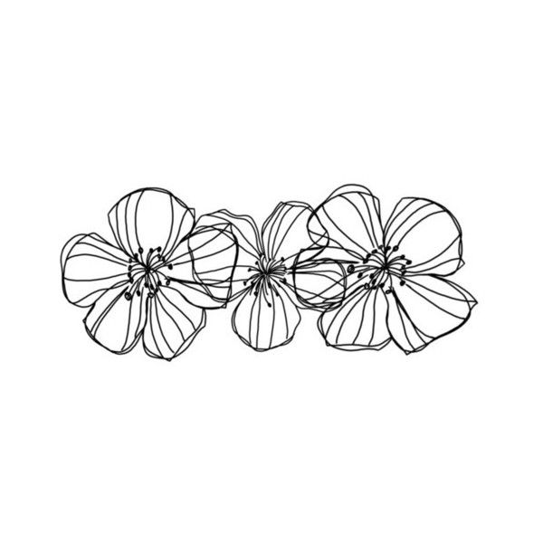 600x600 Tumblr Liked On Polyvore Featuring Fillers, Flowers, Doodles