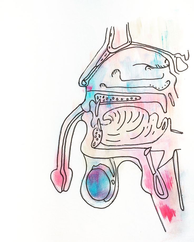 736x919 The 27 Best Emdr Drawings From My Sessions Images