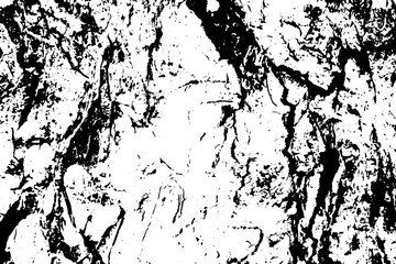 360x240 Grungy Tree Bark Vector Texture. Black And White Bark Ornament