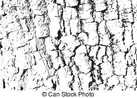 270x194 Vector Wood Texture. Abstract Background, Birch Tree Bark