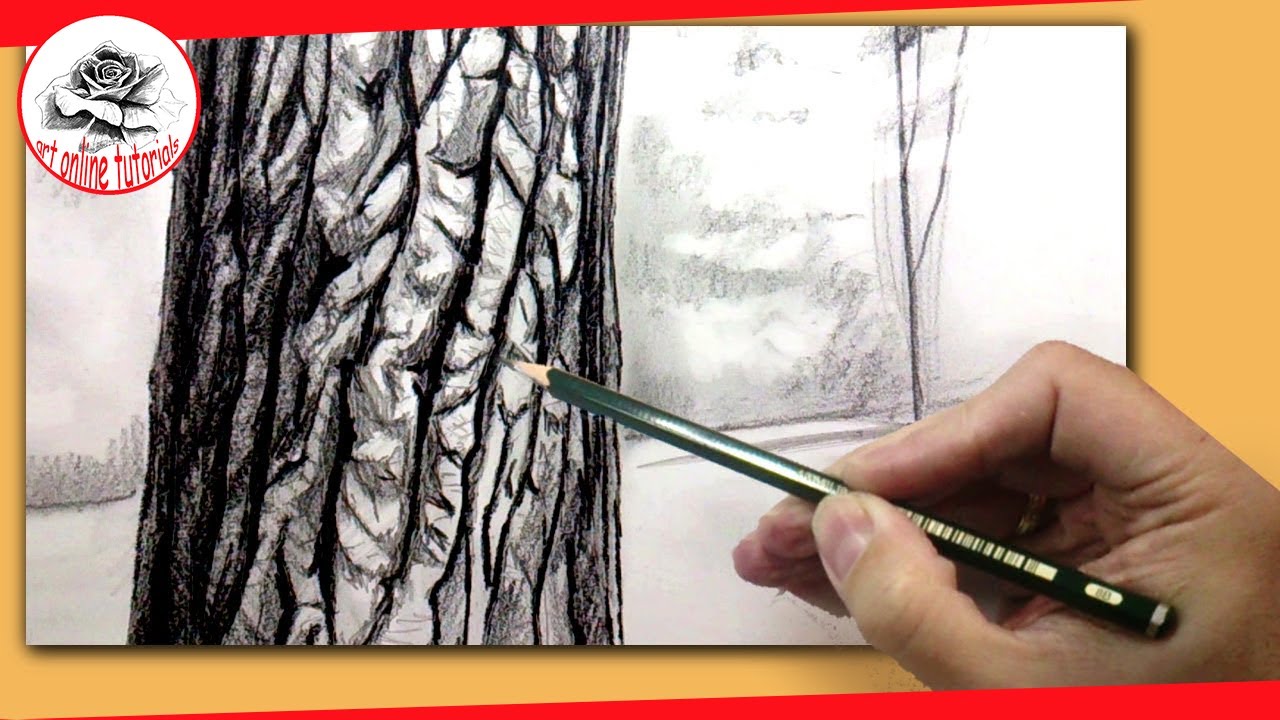 1280x720 How To Draw A Realistic Tree With Pencil How To Draw Textures