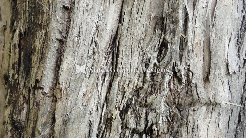 799x450 Tree Bark Texture 01 Texture Packs Stock Graphic Designs