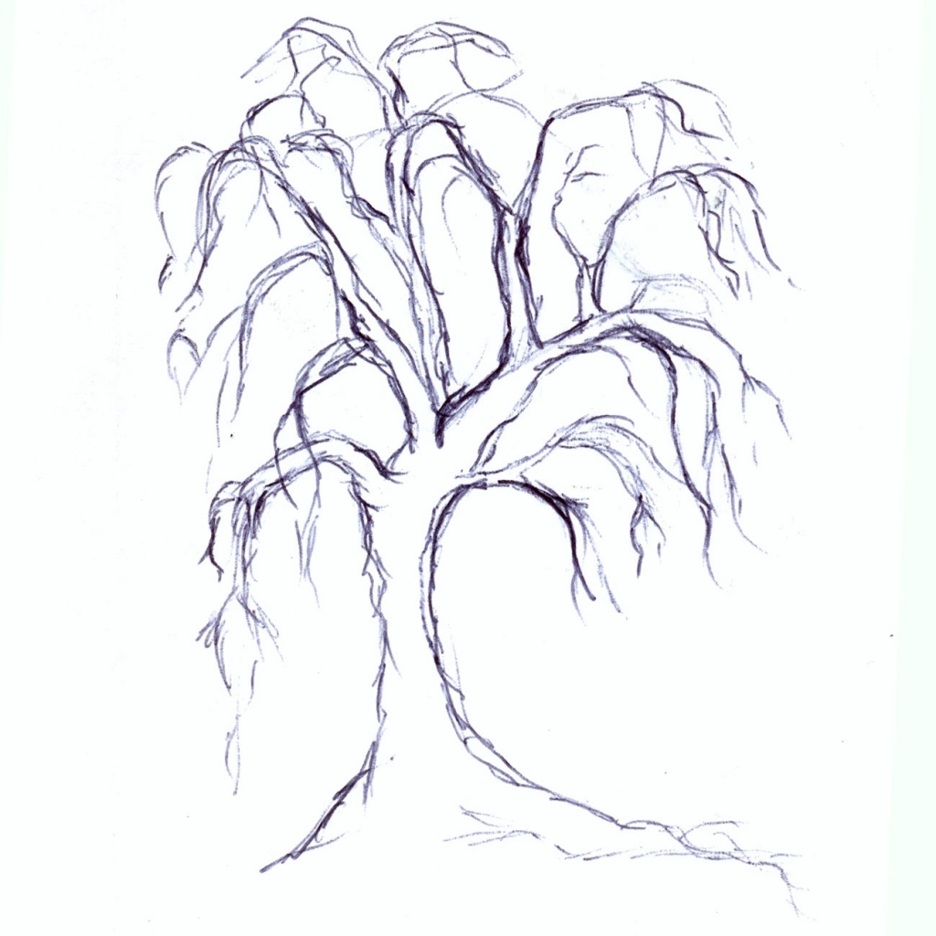 1024x1024 Creepy Tree Drawing Creepy Tree Drawing Week 2 Tuesday 5410 Olivia