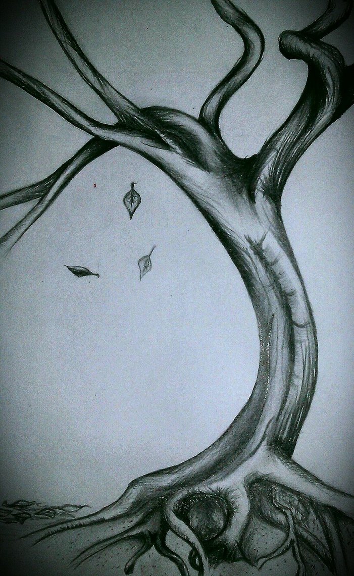 701x1141 Rooted Tall Tree Pencil Drawing By Syamanthra