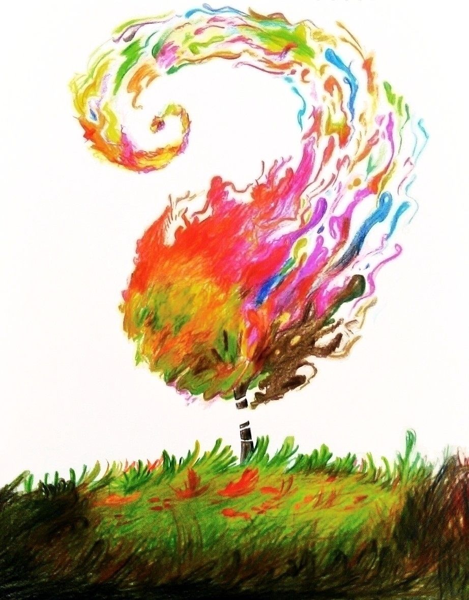 922x1181 The Tree Of Colored Pencil Artwork Coloured Pencils