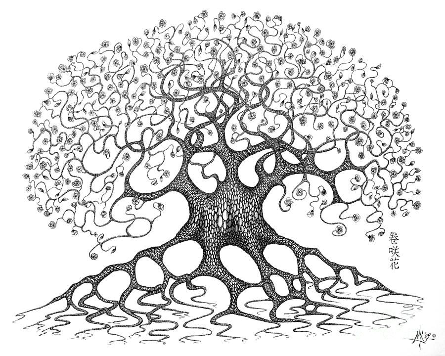 900x720 Bonsai Tree Drawings For Sale Rhbonsai Tree