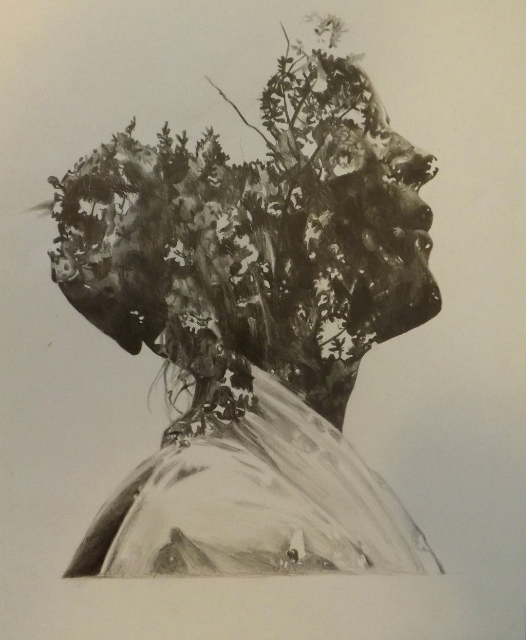 1024x1245 Tree Face Pencil Drawing By Dustywallpaper