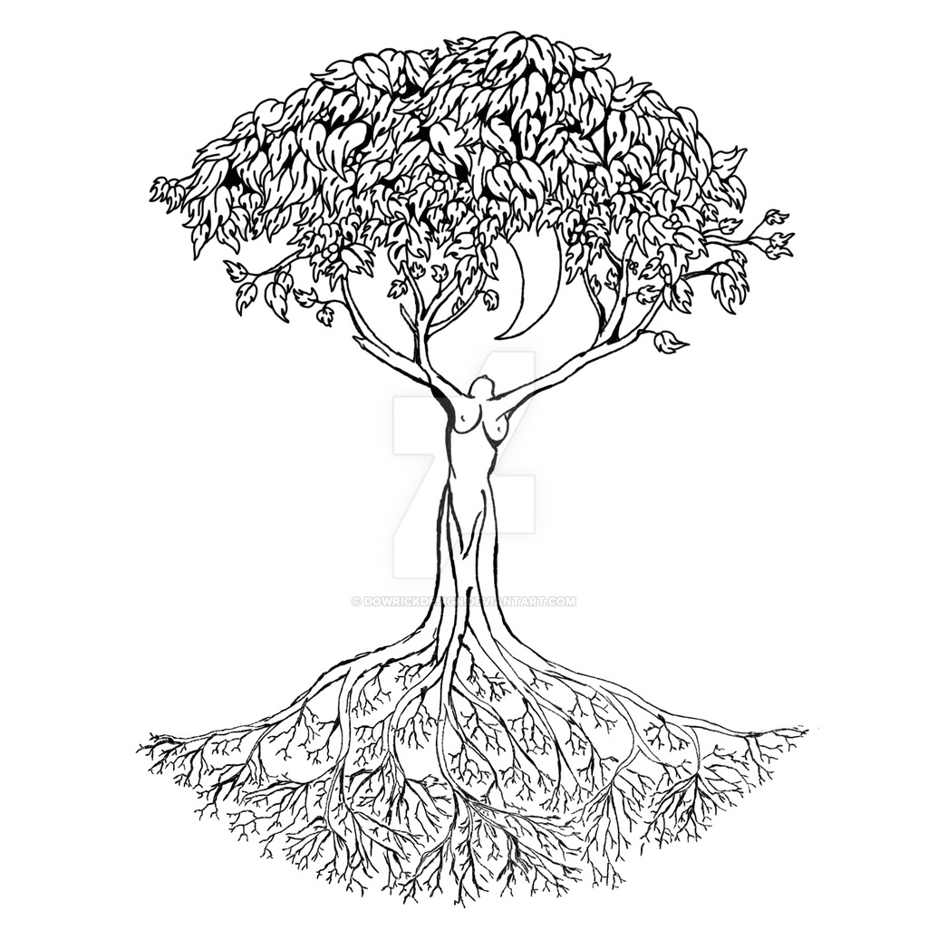 1024x1026 Celtic Tree Of Life Drawing Celtic Tree Of Life Drawing Celtic